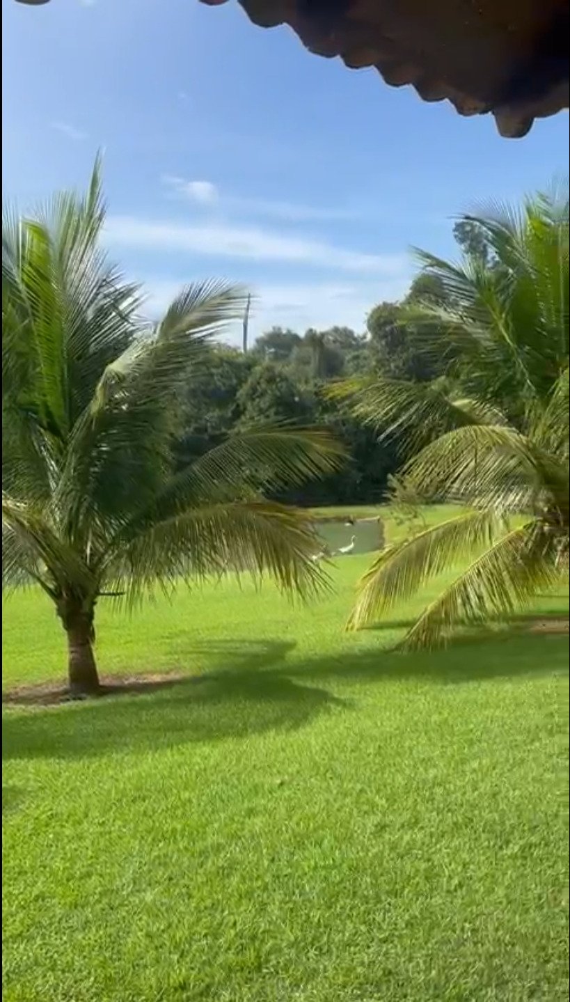 Chácara Rodovia da Produção — imagem 7